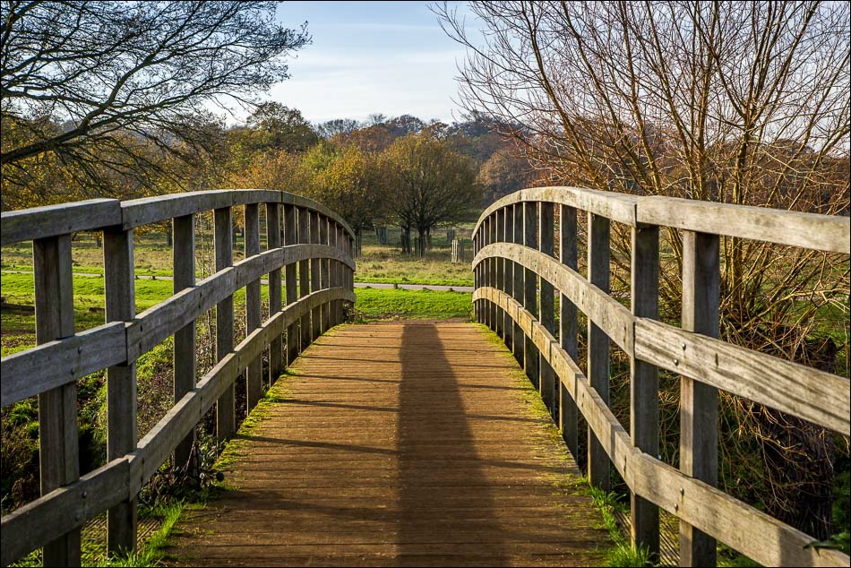 Beverley Brook bridge Richmond Park