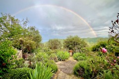 rainbow
