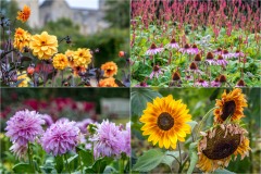 Helmsley Walled Garden