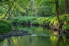 River Derwent Hackness