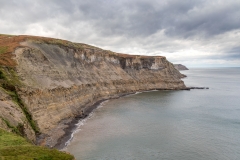 Normanby Stye Batts