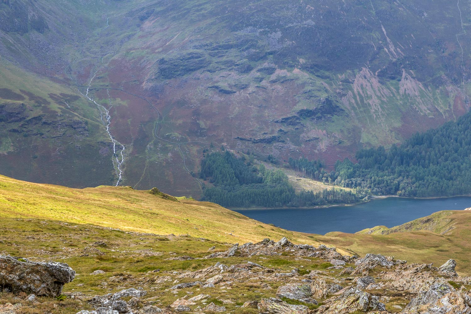 Buttermere from Robinson
