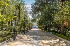 Alameda Gardens, Ronda