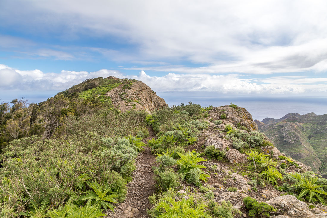 Tafada ridge, Tenerife