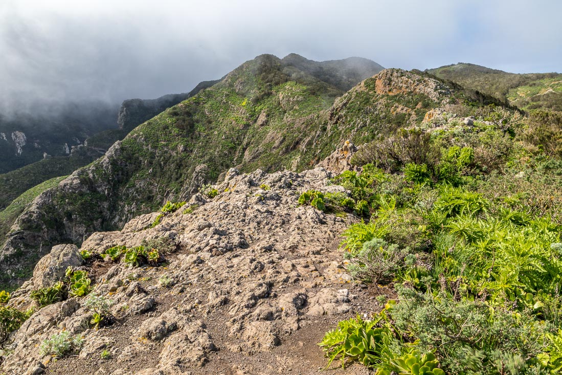 Tafada ridge, Tenerife