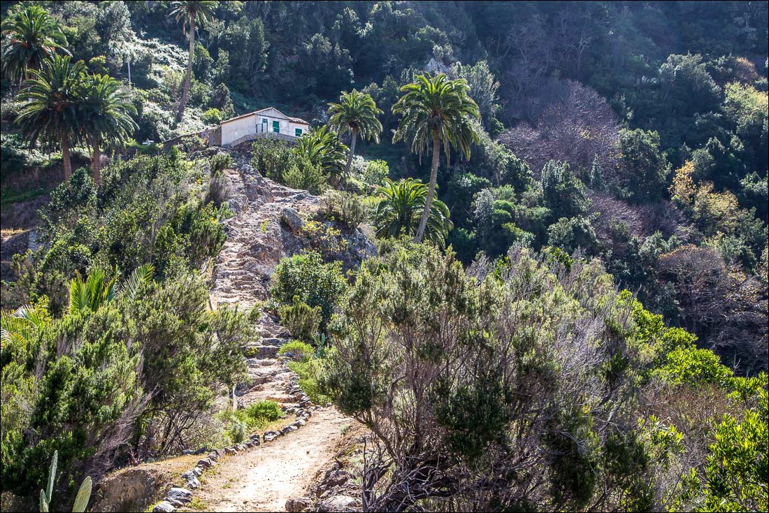 La Gomera walks, Roque Cano