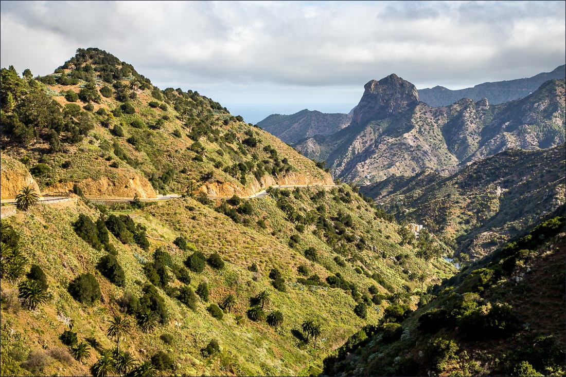 Roque Cano Roque Cano