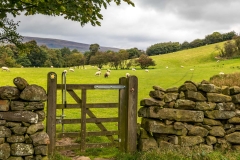 Rosedale walk