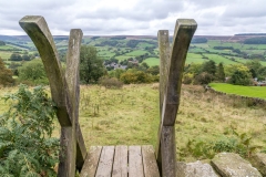 Rosedale walk