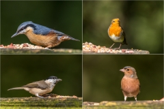 Birdwatcher's car park in Forge Valley near Hackness