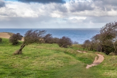 Runswick Bay walk