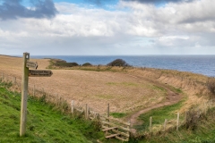 Runswick Bay walk