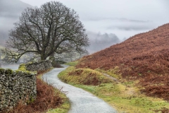 Rydal Water walk, Loughrigg Terrace