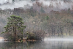 Rydal Water walk