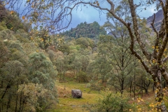 Caslte Crag