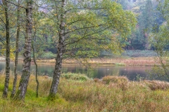 Rydal Water