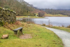 Rydal Water walk