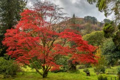 Rydal Hall