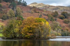 Rydal Water, Heron Island