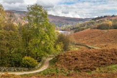 Rydal Water walk, Loughrigg Terrace