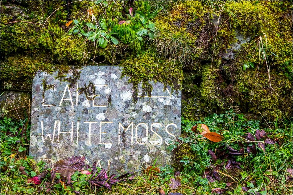 White Moss slate sign