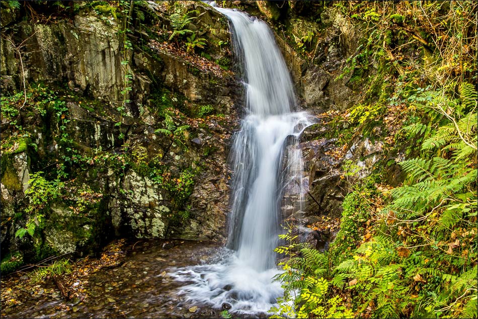 waterfall in White Moss Common
