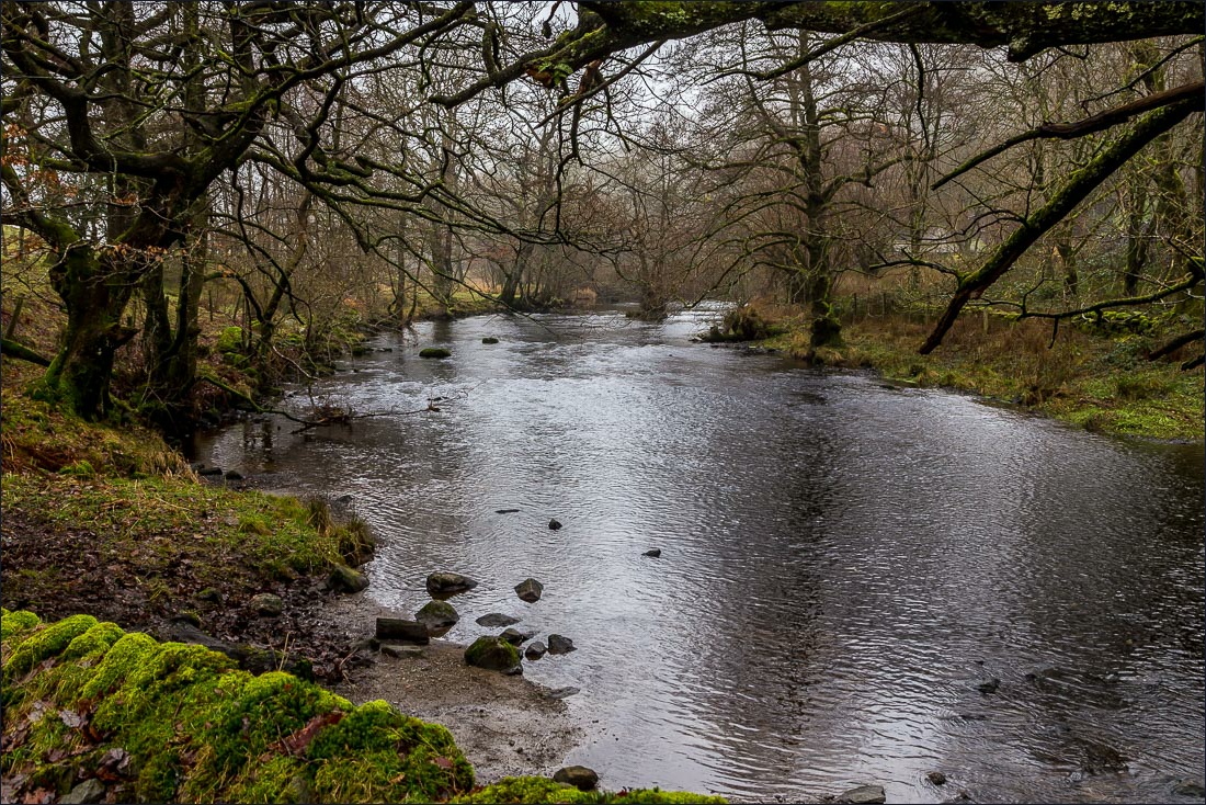 Rydal Water walk, River Rothay