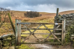 Sale Fell