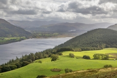 Derwent Water from Lothwaite