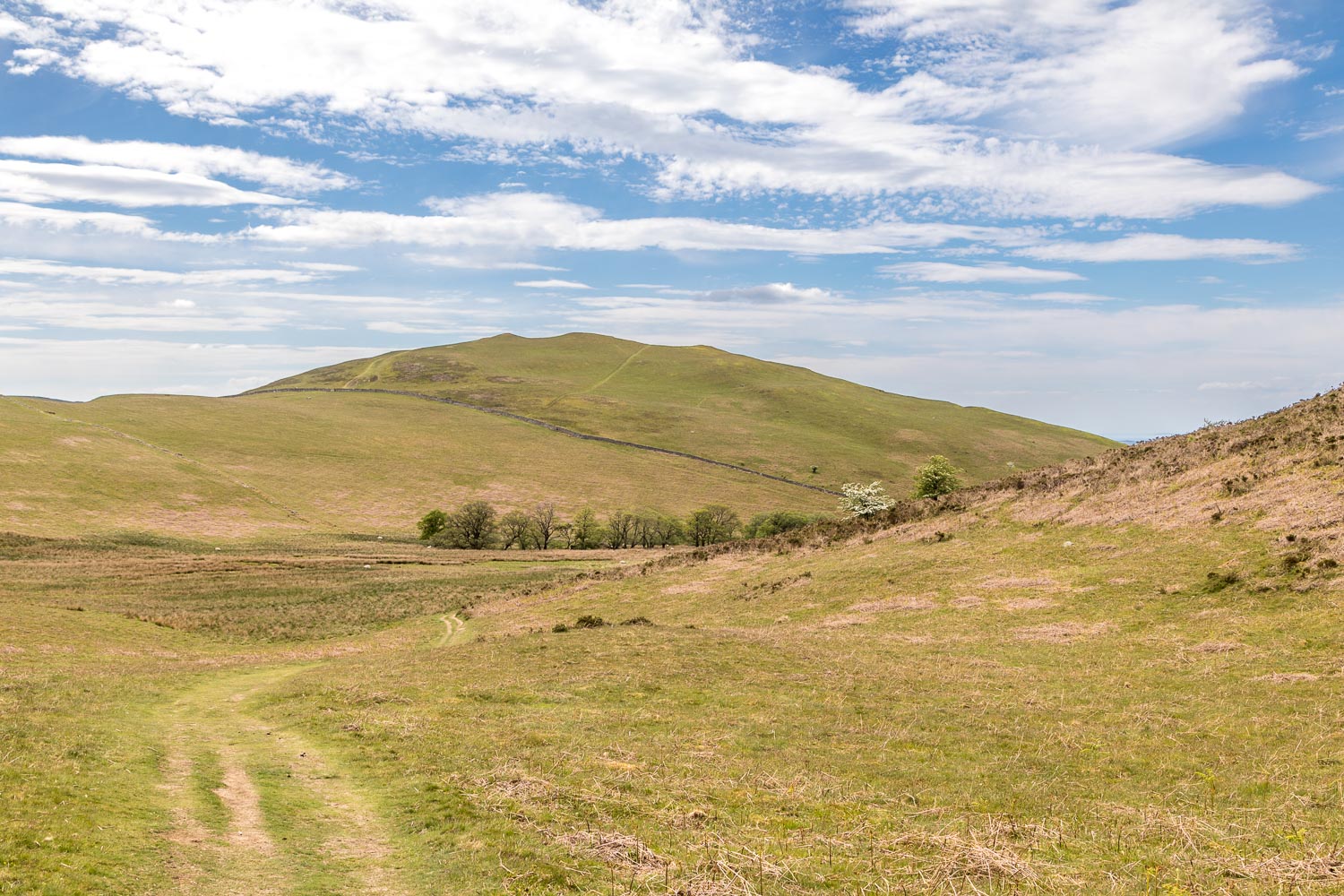 Sale Fell Sale Fell