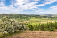Sale Fell walk
