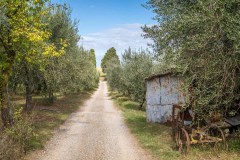 San Quirico d'Orcia to Bagno Vignoni walk