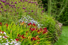 Walled Garden at Scampston borders