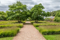 Scampston garden