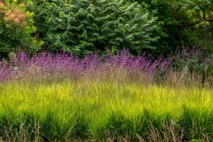 Scampston garden