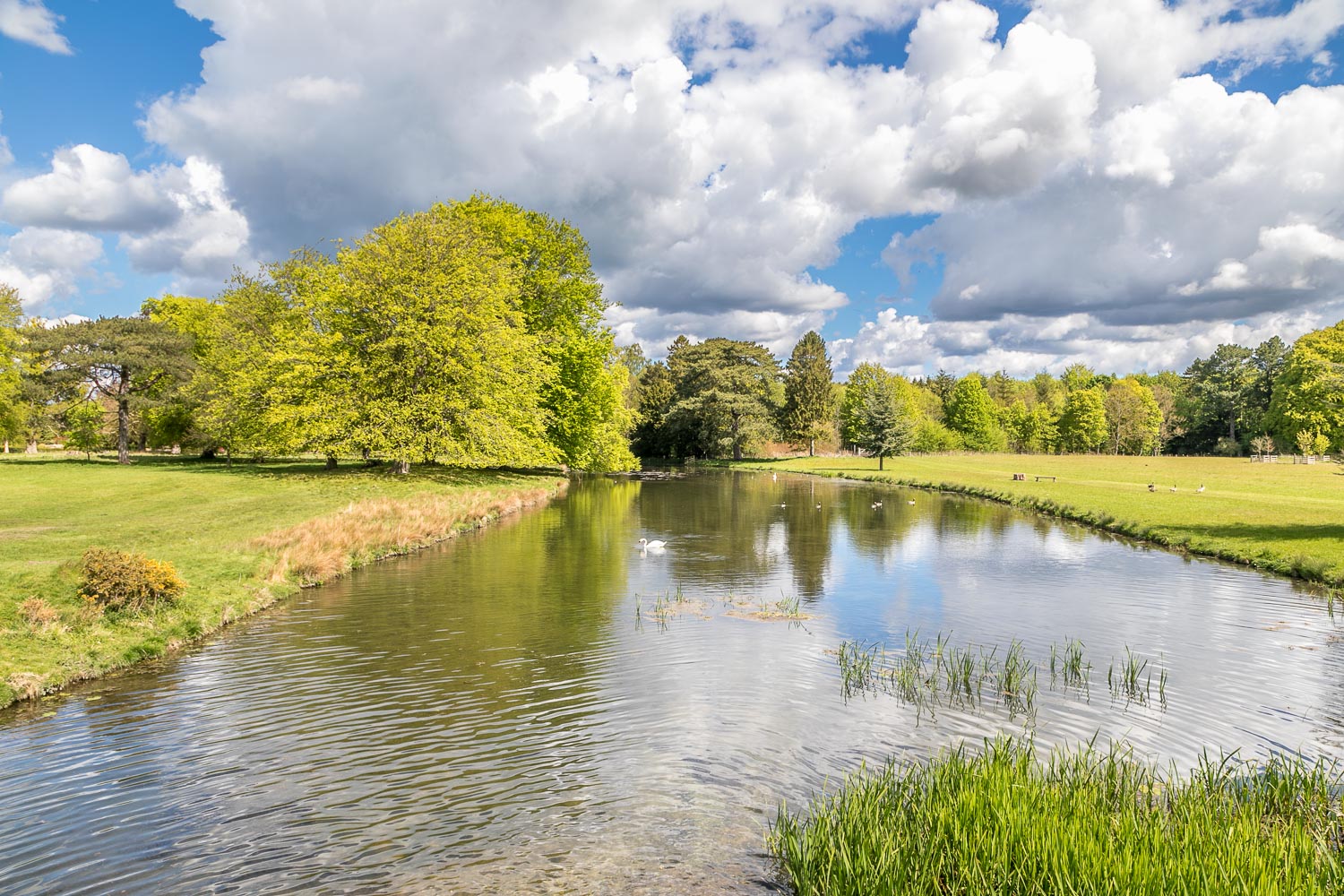 Scampston Hall lake, Capability Brown