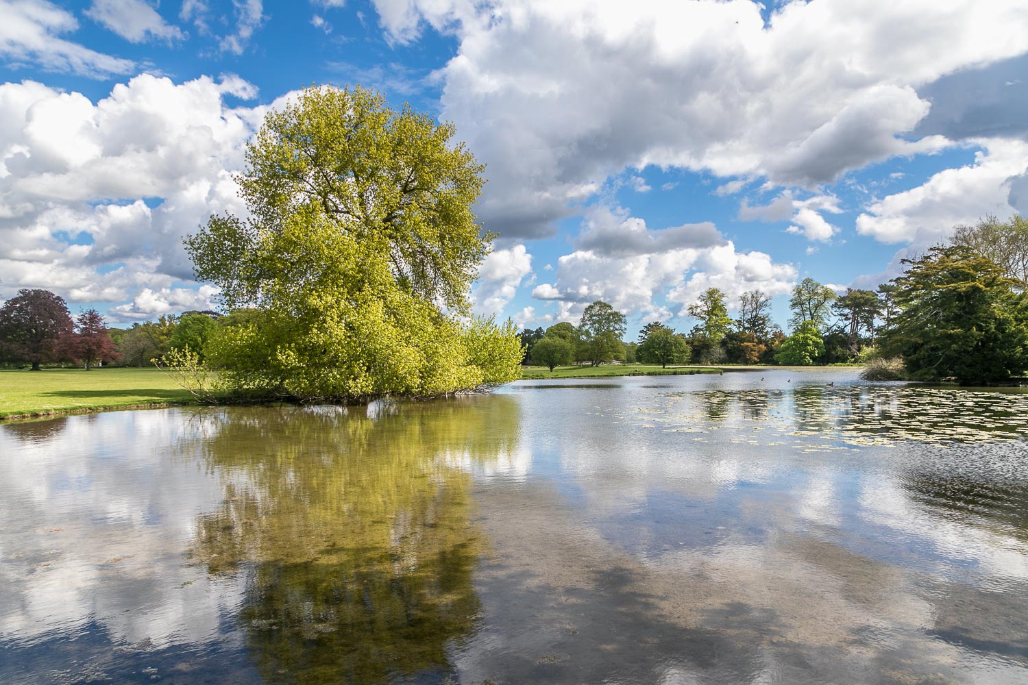 Scampston Hall lake, Capability Brown