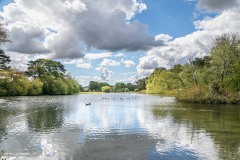 Scampston Hall lake, Capability Brown