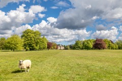 Scampston Hall, Park, Capability Brown