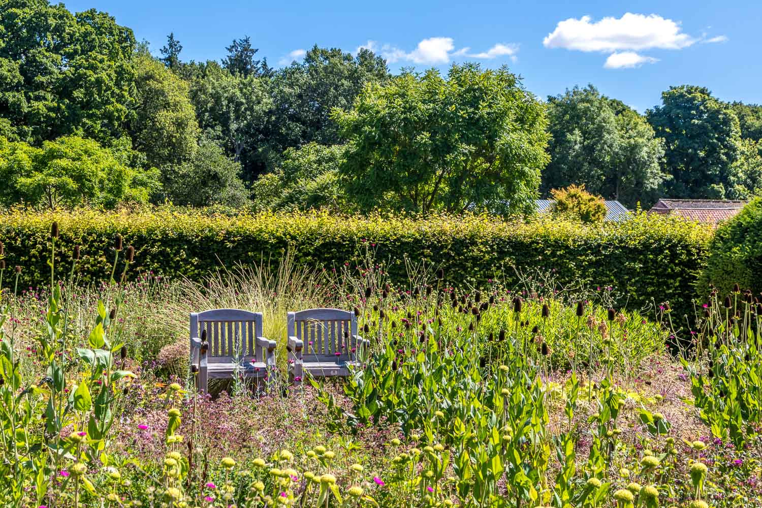Perennial Meadow, Walled Garden, Scampston