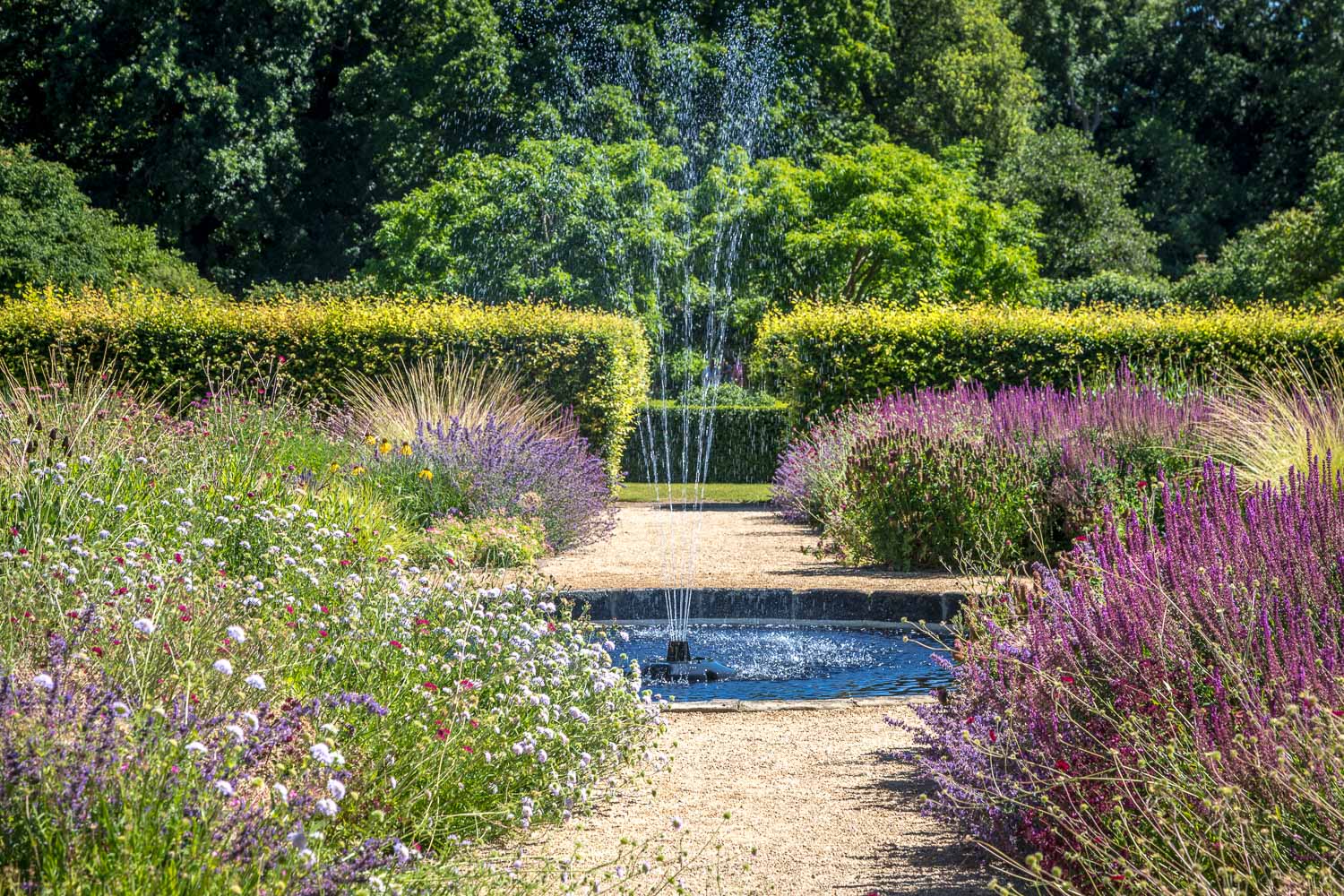 Pond, Walled Garden, Scampston
