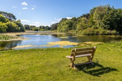 Scampston Hall lake