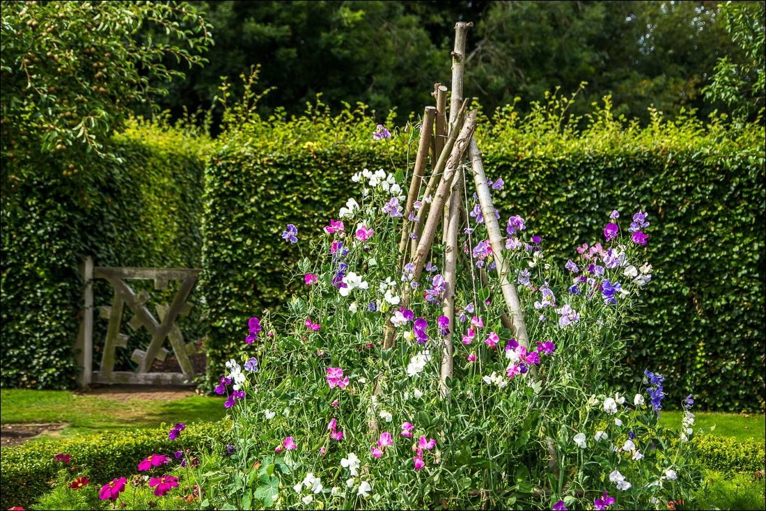 Scampston Garden, Cut Flower Garden