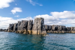 Farne Islands