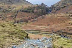 Taylorgill Force