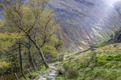 Seathwaite Fell walk