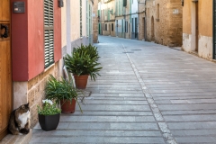 Alcudia