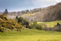 Low Dales walk