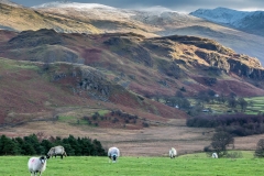High Rigg