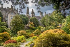 Sizergh Castle limestone garden, acers